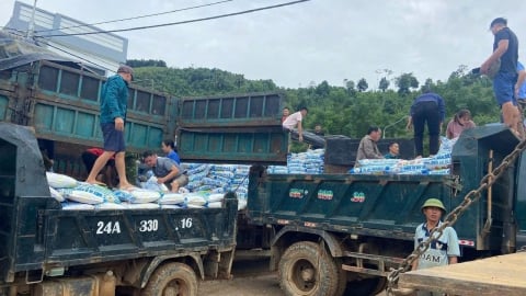 Cấp trên 63 tấn phân bón hữu cơ cho các hộ trồng quế