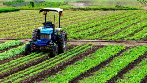 80 năm khoa học công nghệ đưa đất nước thành cường quốc xuất khẩu nông sản