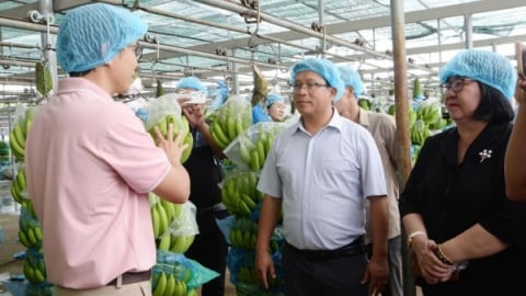 Unifarm và Đại học Thủ Dầu Một hợp tác đào tạo nhân lực