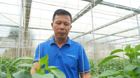 Đầu tư tiền tỷ, thu lại nhiều tỷ