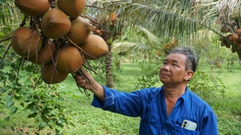 Hướng đi cho nông nghiệp và du lịch xanh