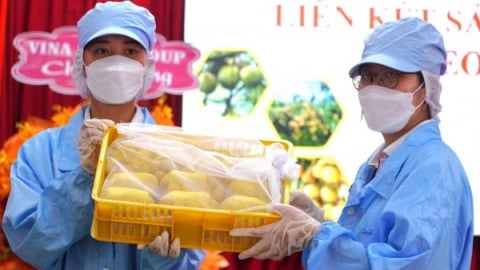 Cận cảnh quy trình kiểm soát chất lượng thanh nhãn xuất khẩu
