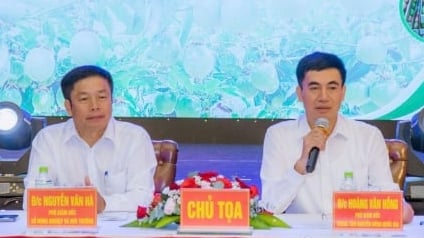 Bàn giải pháp xây dựng chuỗi liên kết sản xuất, tiêu thụ chanh leo bền vững