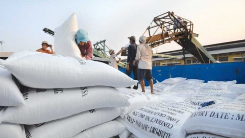 Triển vọng xuất khẩu gạo vẫn rất tích cực