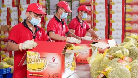 Thương mại rau quả Việt Nam - Trung Quốc: Đối tác 'tỷ đô'