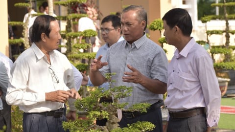 Đồng Tháp đổi mới quản lý, khai thác và bảo vệ nhãn hiệu cộng đồng