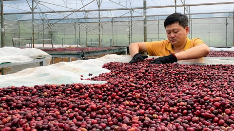 Nhìn thẳng vào ‘sức khoẻ’ nhà khoa học: [Bài 6] Cần một 'liều thuốc' đủ mạnh