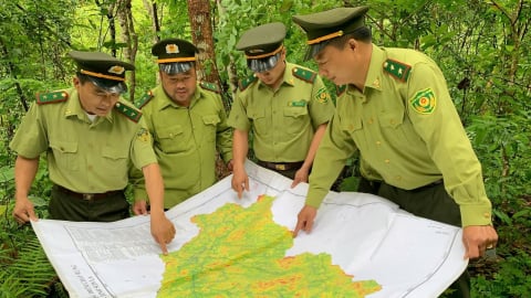 Bảo vệ 'lá phổi xanh' lớn nhất Tây Bắc