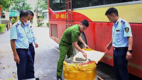 Phát hiện, tiêu huỷ hơn 450kg nội tạng bẩn