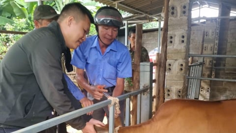Sắp xếp hệ thống ngành dọc nông nghiệp: Thích ứng nhanh nhờ công nghệ số