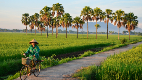 Niềm vui của cư dân nông thôn