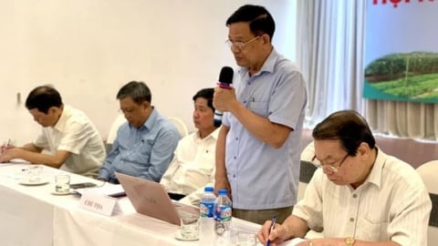 Nâng cao năng lực Hội Làm vườn, thúc đẩy phát triển kinh tế VAC