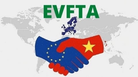 Việt Nam - EU: Thành tựu và triển vọng sau 5 năm triển khai Hiệp định EVFTA