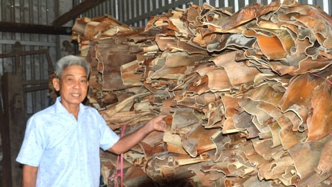 Mo cau- từ phế phẩm trở thành hữu ích