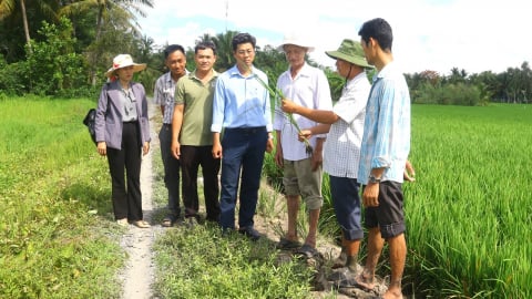 Hậu Giang thực hiện 137 mô hình khuyến nông thúc đẩy sản xuất nông nghiệp
