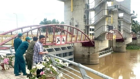 Đóng cống Tha La và Trà Sư kiểm soát lũ nội đồng bảo vệ sản xuất