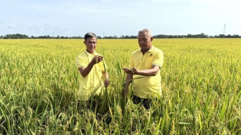 Định Hòa chọn khâu đột phá để tăng tốc xây dựng nông thôn mới