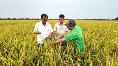 Châu Phong cụ thể hóa mục tiêu nông thôn mới nâng cao
