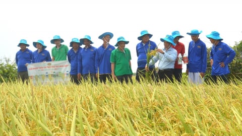 Từ quê hương cách mạng đến nông thôn mới hiện đại