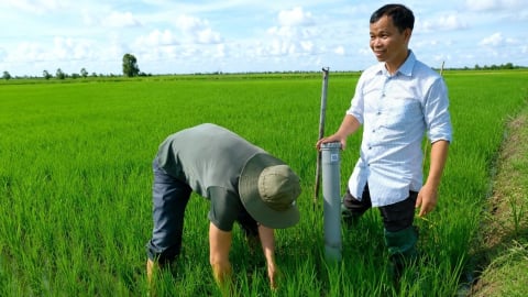 Liên kết sản xuất lúa chất lượng cao, phát thải thấp theo chuỗi giá trị
