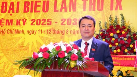 Tổng Công ty Cà phê Việt Nam hướng đến chuyển đổi xanh