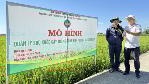 Tăng hiệu quả sản xuất, bảo vệ môi trường từ mô hình IPHM