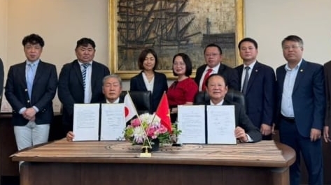 Developing a Japanese-standard value chain for Vietnamese oysters