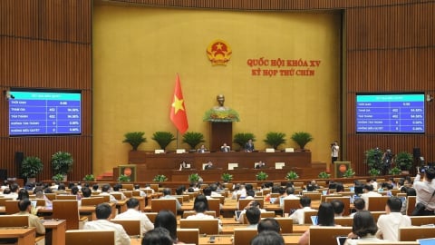 Details of the Draft Resolution amending and supplementing several articles of Vietnam's Constitution