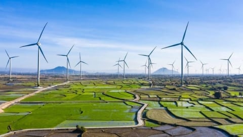 Renewable energy transition for rural sustainable development
