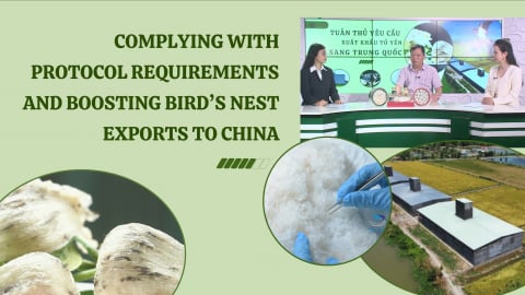 Complying with protocol requirements and boosting bird’s nest exports to China