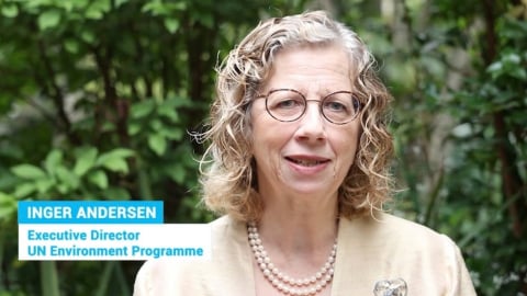 UNEP calls for a global treaty to end plastic pollution