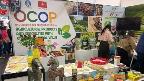 Vietnam to welcome 14 African Ministers to get insights on OCOP program