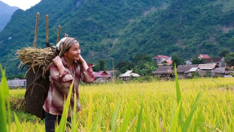 Việt Nam là cầu nối chia sẻ kinh nghiệm nông nghiệp châu Á - châu Phi