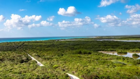 UNESCO hỗ trợ cộng đồng bảo vệ khu dự trữ sinh quyển tại Mexico