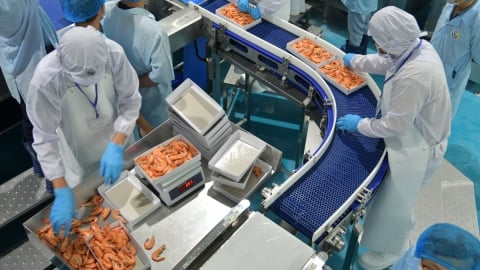 Vietnam's AFF exports reach $33.84 billion in 6 months, up 15.5%