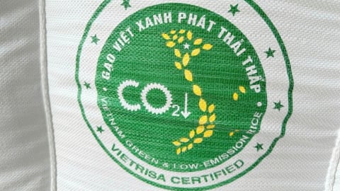 Labeling low-carbon crops to elevate Vietnam’s global image