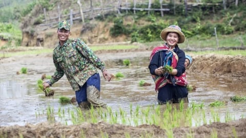 Liên hợp quốc hỗ trợ thanh niên Việt Nam dẫn dắt quản trị khí hậu