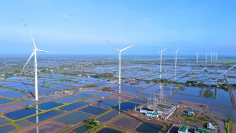 Việt Nam tiên phong hành động vì khí hậu toàn cầu