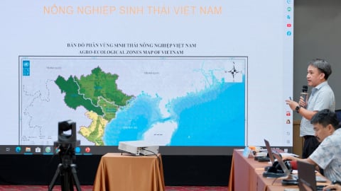 Chuyển đổi nông nghiệp sinh thái: Nghịch lý 'chính sách dày - kỹ thuật mỏng'