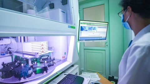 Công nghệ chỉnh sửa gen trong nông nghiệp toàn cầu và định hướng cho Việt Nam