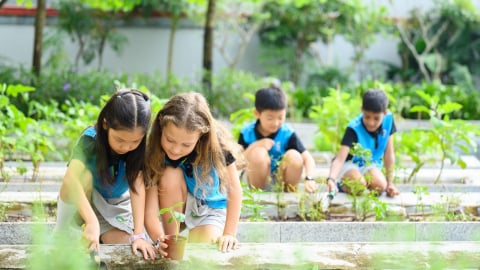 Công bố thể lệ Giải thưởng Trường học Sinh thái ASEAN 2025 tại Việt Nam
