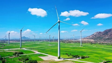 Green investments from Vietnam's private sectors reach USD 161 million