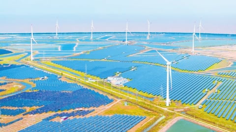 Các nước thành viên BRICS dẫn đầu cuộc cách mạng năng lượng tái tạo
