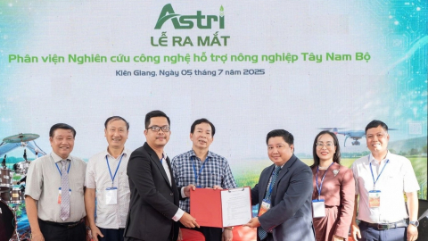 Angiang deploys 1,500 ha of high-tech rice cultivation to advance carbon credit market