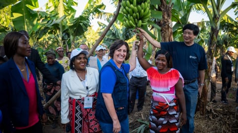 FAO introduces the innovative '5 Increases - 5 Reductions - 3 Optimizations' approach
