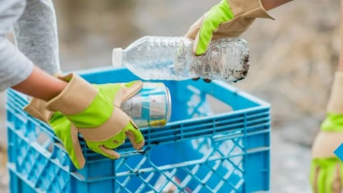Canada siết chặt quy định chống 'gian lận xanh' trong quảng cáo môi trường