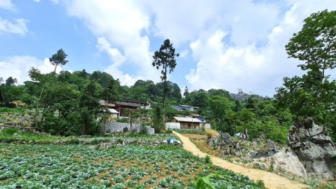 Nhà xưa giữ lại làng nay