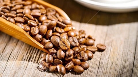 Giá cà phê hôm nay 26/5/2025: Không có biến động mới