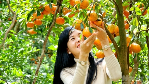 Chuyện phải làm