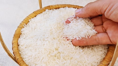 Giá lúa gạo hôm nay 12/5/2025: Lúa tiếp tục xu hướng giảm